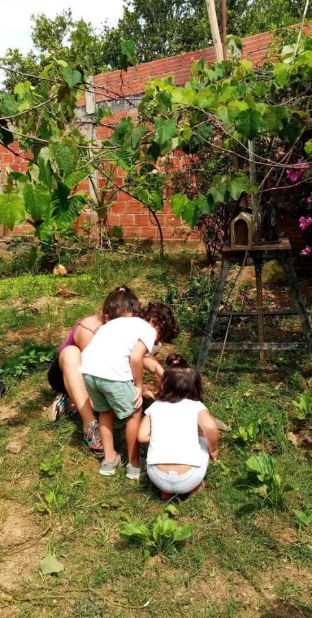 Solárium Posada El El Socorro Exterior foto